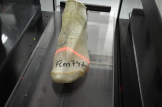 Numérisation du pied / Foot scanning